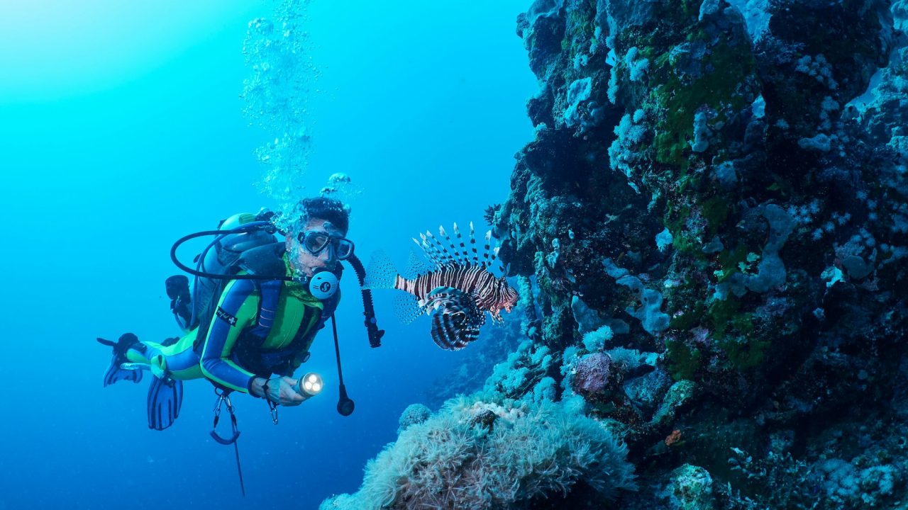 Lion fish and scuba diver in Red Sea, Marsa Alam, Egypt