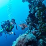 Lion fish and scuba diver in Red Sea, Marsa Alam, Egypt