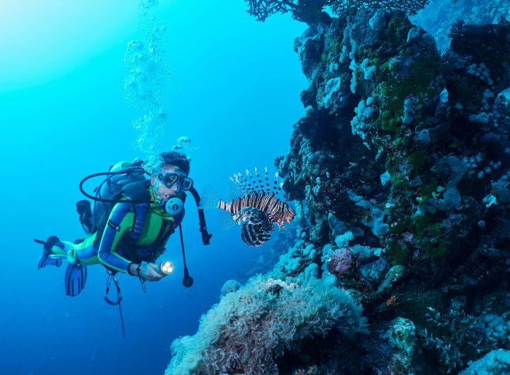 Lion fish and scuba diver in Red Sea, Marsa Alam, Egypt